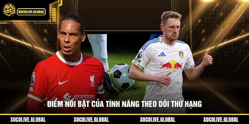 Điểm nổi bật của tính năng theo dõi thứ hạng